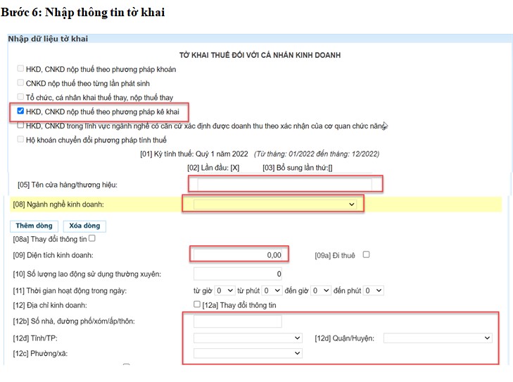 Bước 6: Nhập thông tin tờ khai