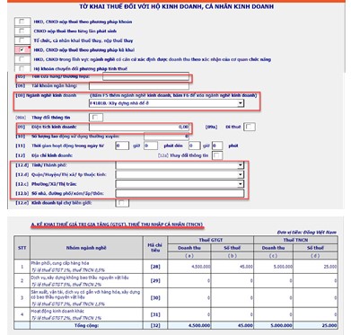 Bước 3: Nhập dữ liệu tờ khai